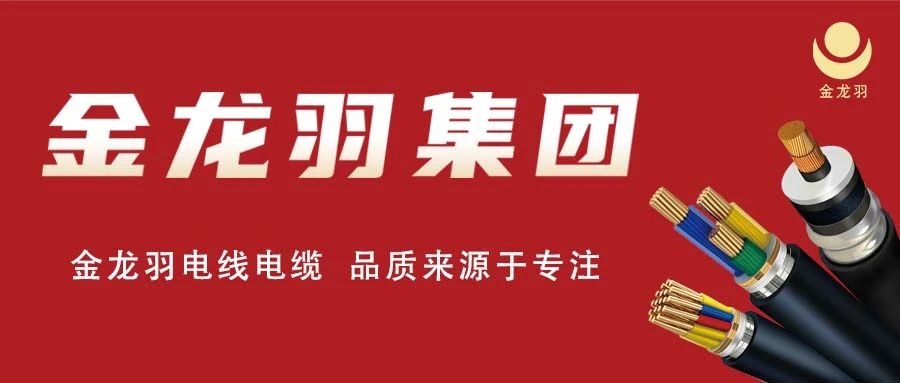 城市流動的風(fēng)景線，金龍羽點亮全城！