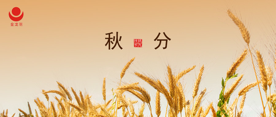 秋分 I 平分秋色，共赴美好
