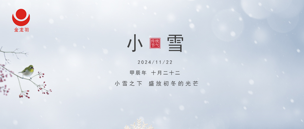 小雪至，寒未深 —— 金龍羽電線電纜與你溫暖相伴